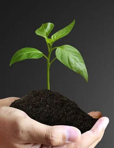 Aashrayaani Women Foundation